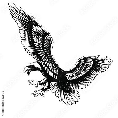 Vintage eagle  great design for any purposes. Vector illustration design. American eagle vector design. Vintage background. Flying bald eagle. Black background. Vector icon.