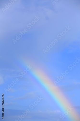 雨上がりの鮮やかな虹