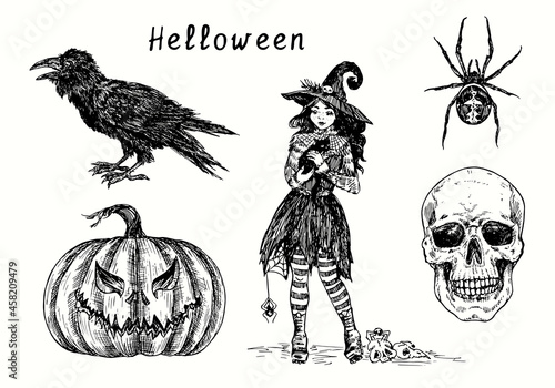 Halloween collection, Black crow, pumpkin Jack-o-lantern, Cute small witch in hat holding black cat, Spider and scull. Ink black and white drawing