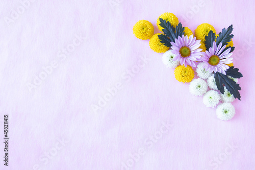 ピンクと白と黄色の小菊のデザイン（ピンクバック）