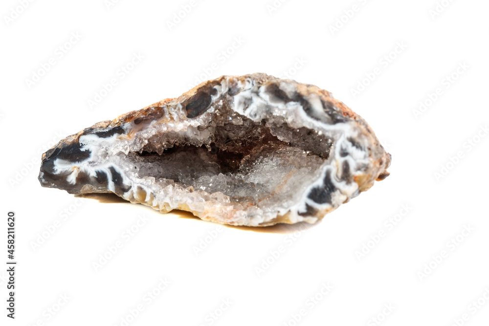Macro mineral stone agate kidney gerbera on white background close up Macro mineral stone agate kidney gerbera on white background close up