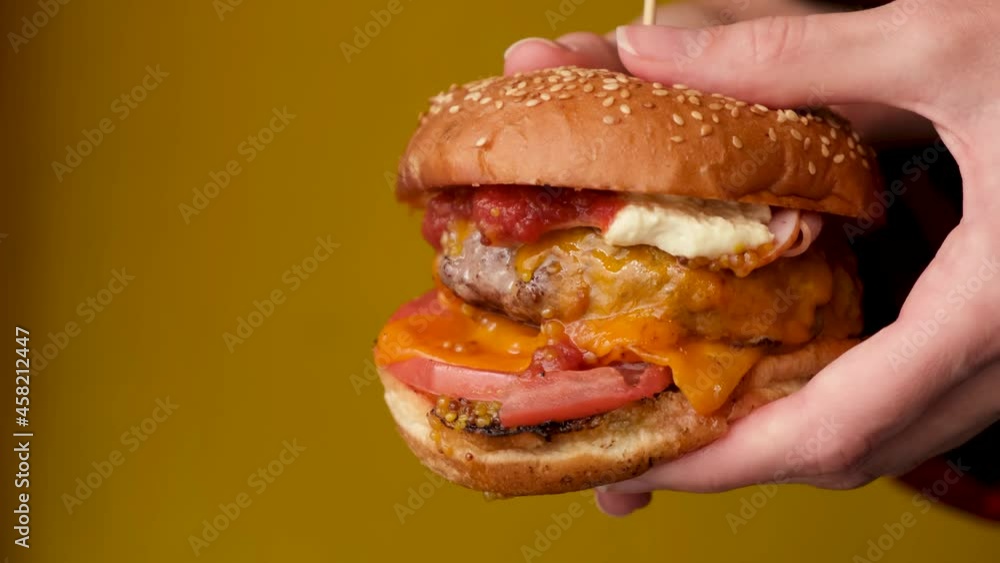 Juicy Cheeseburger In Female Hands Over Yellow Wall Background Juicy Cheeseburger In Female Hands Over Yellow Wall Background