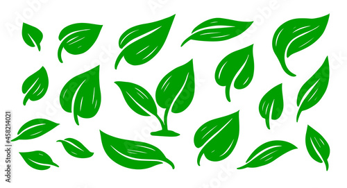 Green abstract leaf icon set. Design graphic element. Template for eco logo. Vector illustration