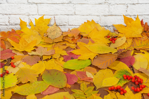 Multi-colored fallen autumn leaves as a background