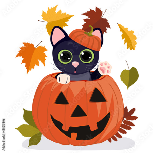 Black cat sitting in an orange pumpkin. Cartoon halloween card, little black kitten with big eyes. Vector illustration.