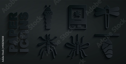 Set Mosquito, Dragonfly, Butterfly cocoon, Book about insect and Larva icon. Vector