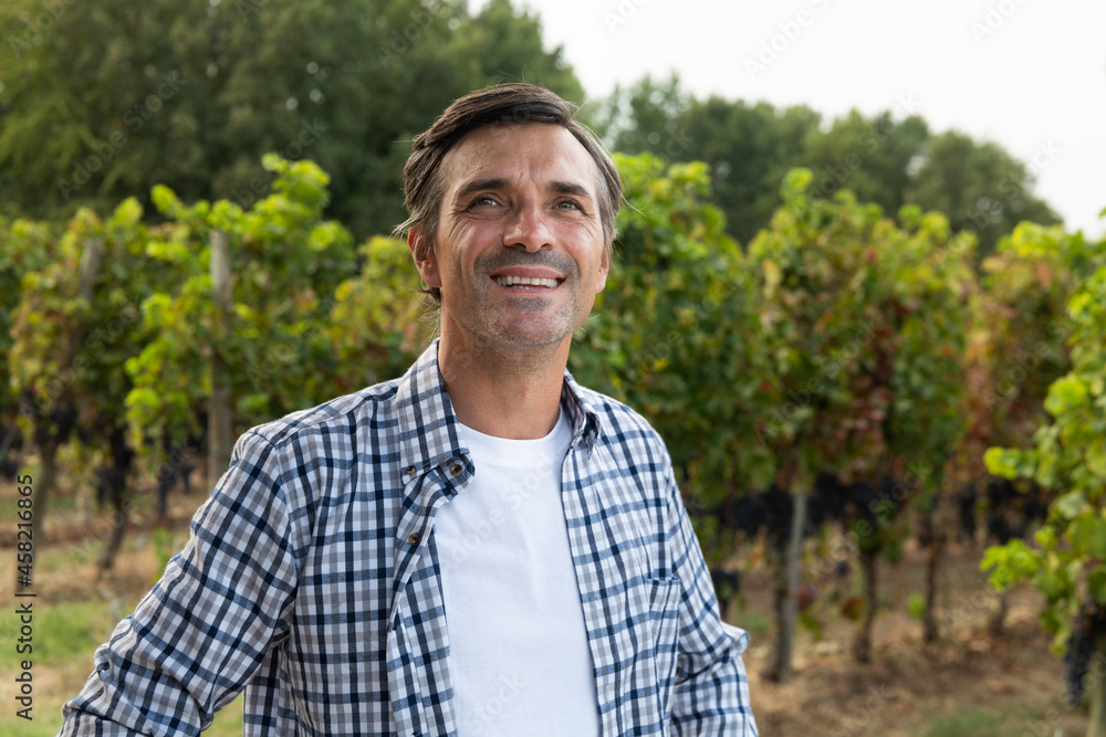 A happy successful farmer or winemaker is smiling satisfied in the middle of vine branches rows during wine harvest season in vineyard for further high quality wine production A happy successful farmer or winemaker is smiling satisfied in the middle of vine branches rows during wine harvest season in vineyard for further high quality wine production
