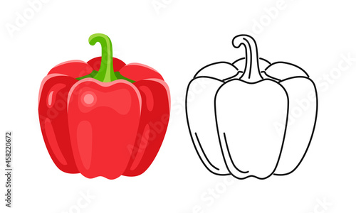 Bell pepper icon set. Vector color cartoon illustration of paprika and outline. Red vegetable.