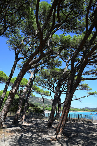 Site protégé de Tamaricciu en Corse