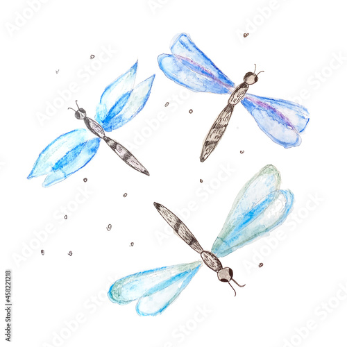 Vector hand drawn watercolor set of dragonfly