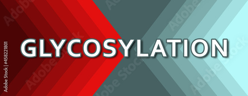 Glycosylation - text written on cyan and red background photo