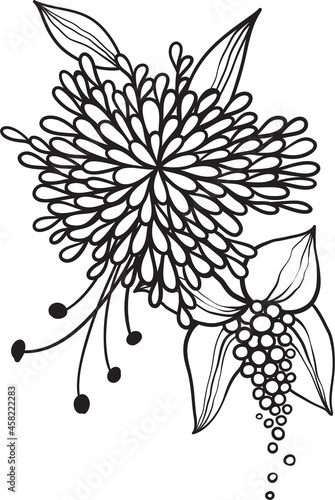 Black line floral arrangement  fancy outline flowers with leaves and pollen on white background  hand drawn botanical illustration