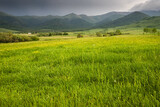 Idyllic and peaceful landscape in the countryside. Lush grass in the foreground and misty mountains in the distance as a background