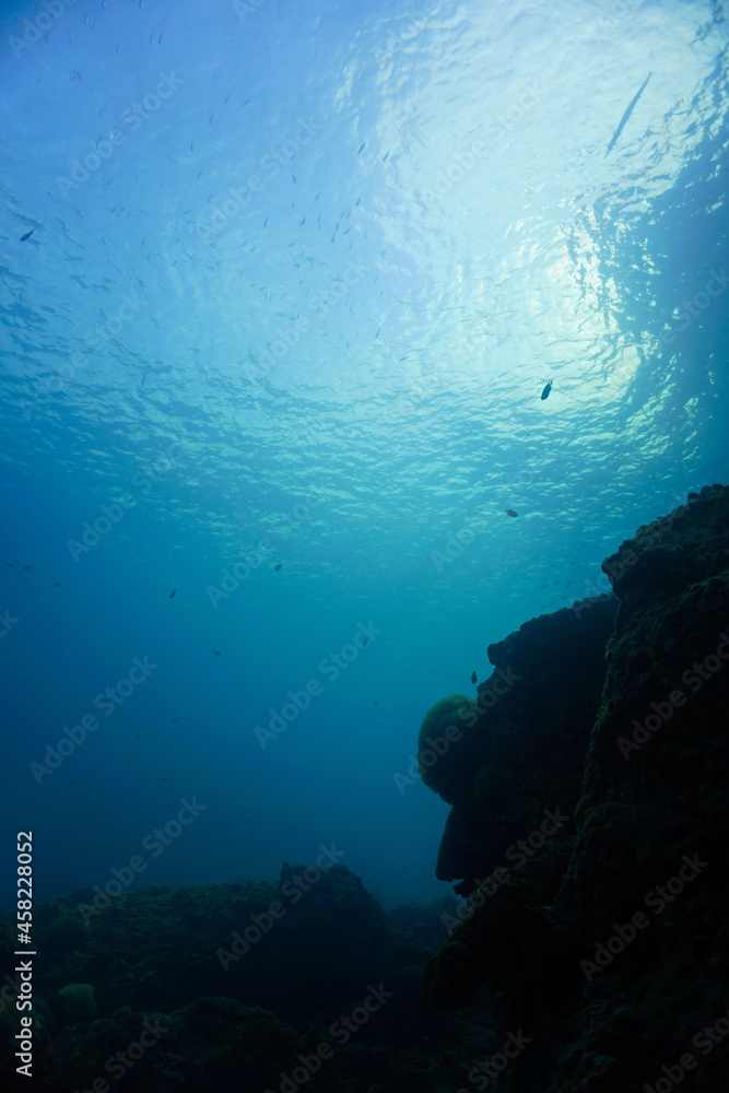 Obraz premium Beautiful and magic underwater photo of rays of light breaking through the surface and the waves. 