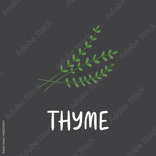 Thyme branch with lettering. Flat hand drawn italian herb for cooking isolated on dark background. Fresh green organic seasoning vector illustration.