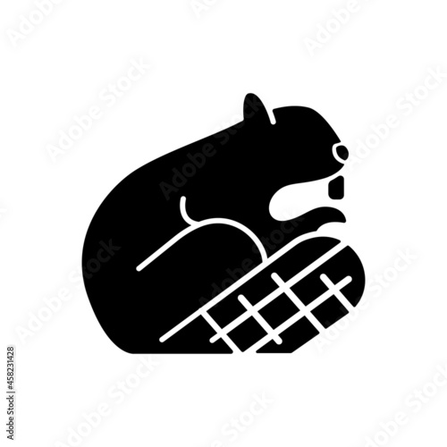 Beaver black glyph icon. Symbol of canadian identity and sovereignty. Official emblem. Herbivore and semiaquatic wild animal. Silhouette symbol on white space. Vector isolated illustration