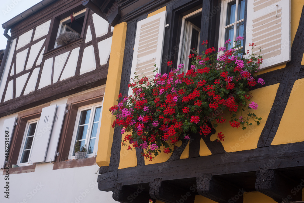 Closeup of red geraniums at he window of a medieval house facade Stock ...