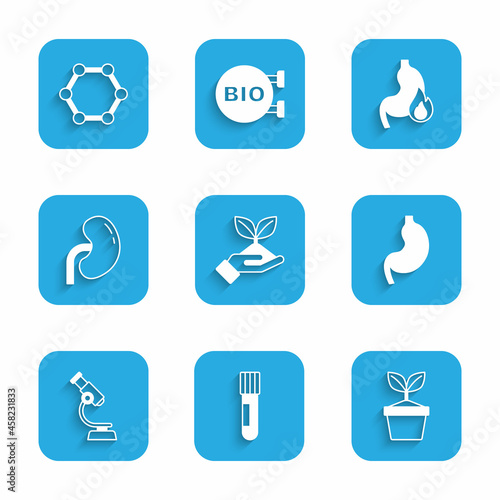 Set Plant in hand, Test tube flask, pot, Human stomach, Microscope, kidney, Stomach heartburn and Molecule icon. Vector