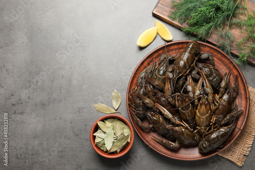 Fresh raw crayfishes with lemon, dill and bay leaves on grey table, flat lay. Space for text photo