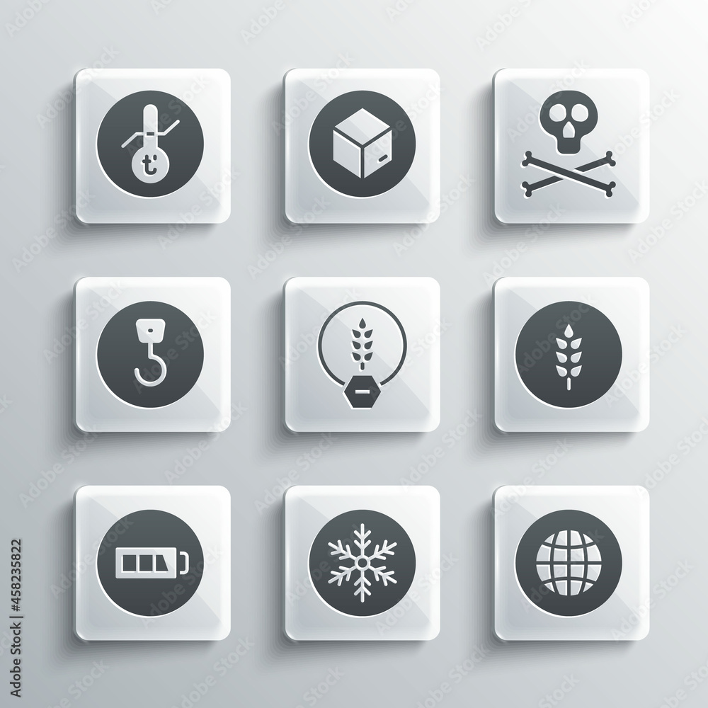 Set Snowflake, Social network, Wheat, Gluten free grain, Battery, Industrial hook, Meteorology thermometer and Bones and skull warning icon. Vector