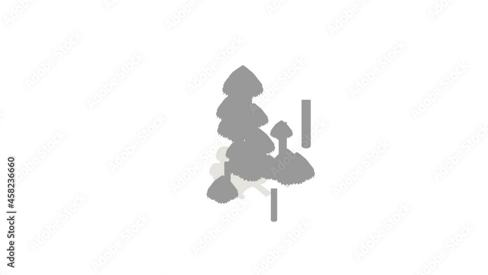 Trees icon animation isometric best object on white backgound Trees icon animation isometric best object on white backgound