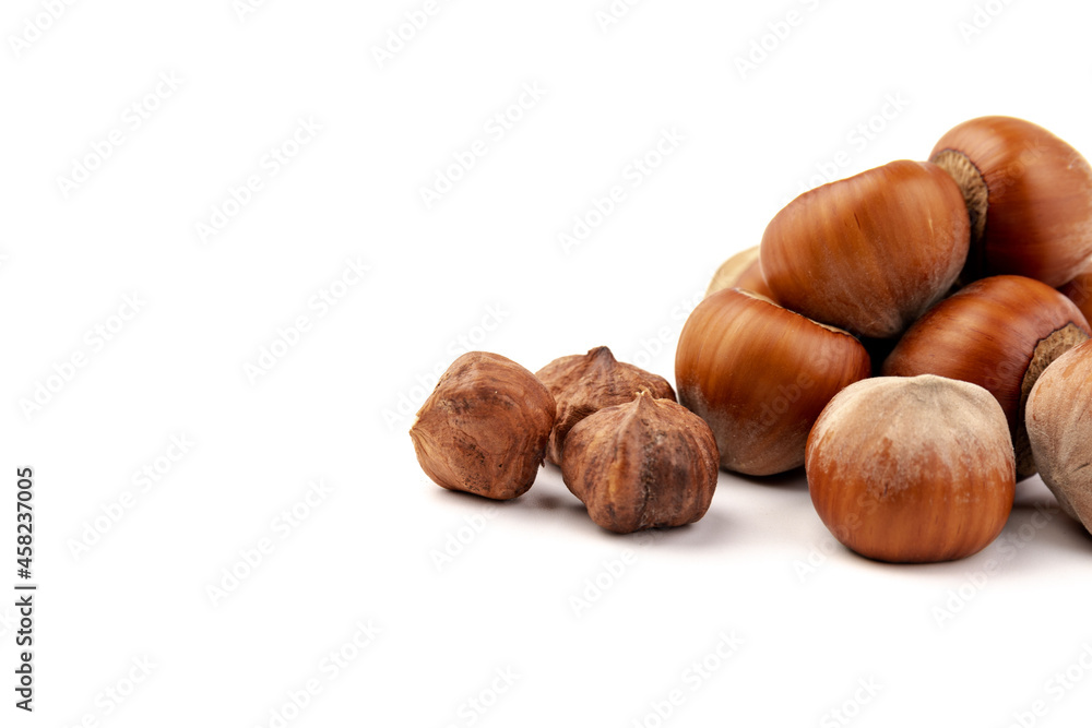 Group of hazelnuts, isolated on white background Group of hazelnuts, isolated on white background