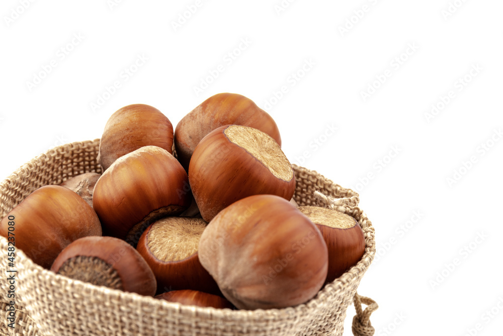 fresh hazelnuts in a canvas bag on white background fresh hazelnuts in a canvas bag on white background