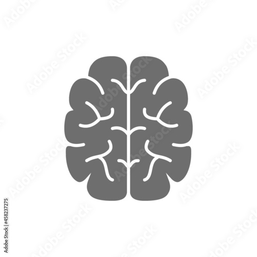 Brain, mind, intelligence grey icon. Isolated on white background