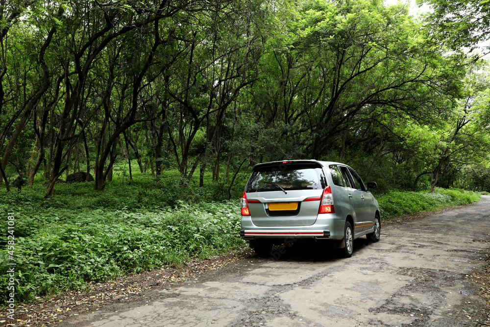 Car stop in the forest area.