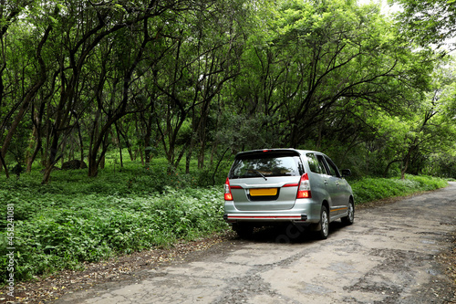 Car stop in the forest area.