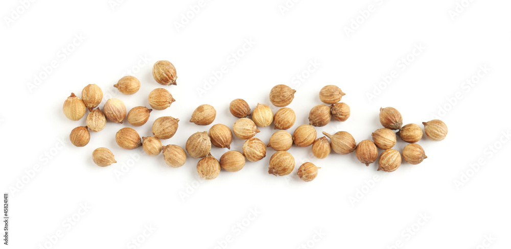 Scattered dried coriander seeds on white background, top view Scattered dried coriander seeds on white background, top view
