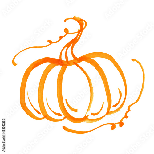 Pumpkin orange food line marker bright vegetables autumn melon halloween mysticism