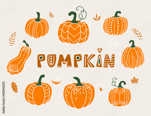 Pumpkin vector illustration in flat naive simple modern style. Autumn decorative gourd for thanksgiving, halloween, harvest design isolated on white background