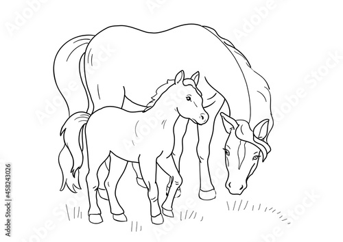 Mare with the foal. Coloring page with horses.