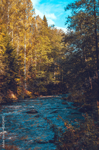 Fototapeta Naklejka Na Ścianę i Meble -  mountain river in autumn