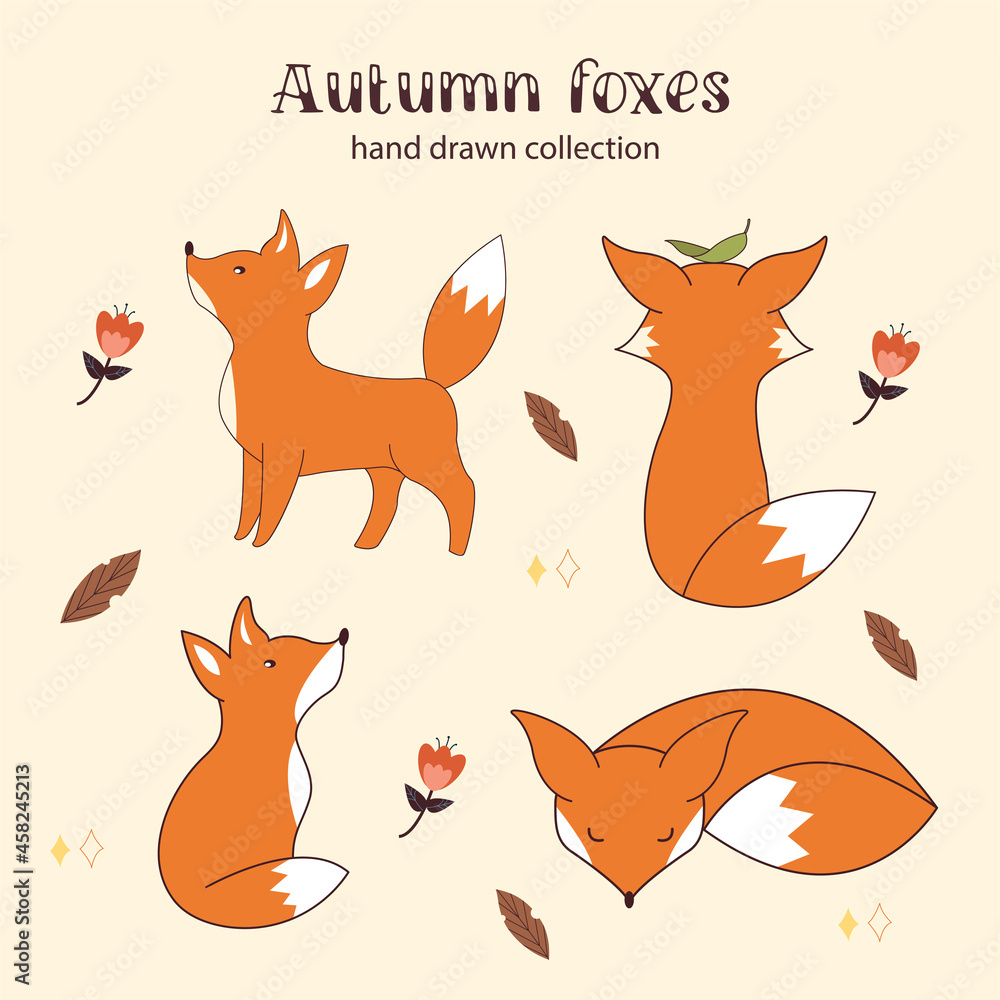 Hand drawn autumn foxes collection