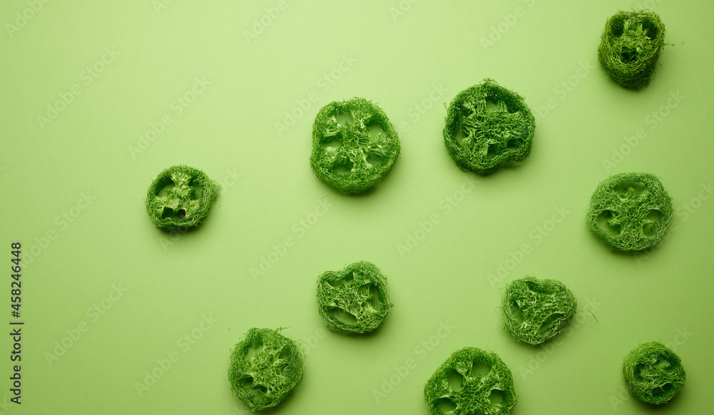 green pieces of loofah on a green background, top view green pieces of loofah on a green background, top view