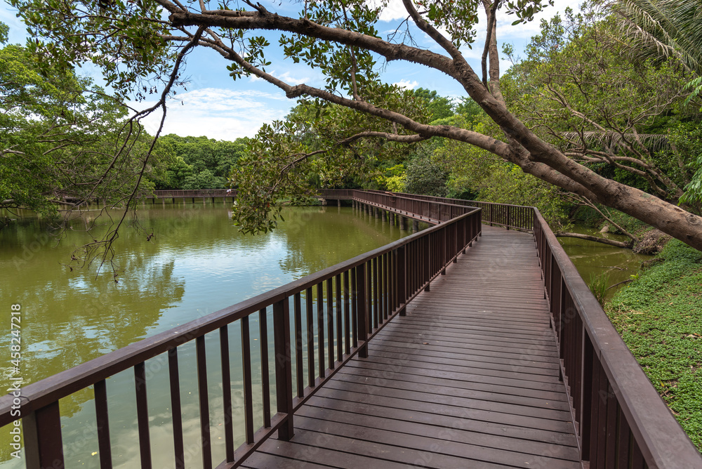 Fototapeta premium Wooden bridge to cross lake at garden for long trail in garden