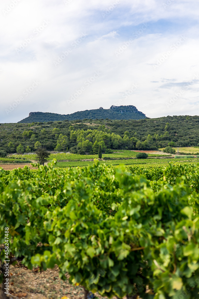 Vue sur le vignoble de Saint-Saturnin-de-Lucian dominé par le Roc des Deux Vierges (Occitanie, France)