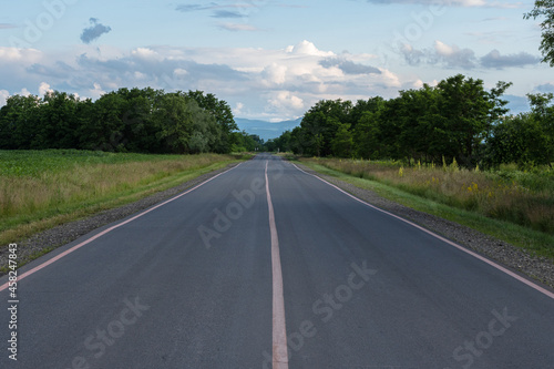 A suburban asphalt road with three solid lines of pink road markings. On the edges of the road, the grass is turning into woods. In the background of the mountain and the blue sky with clouds. © VeNN