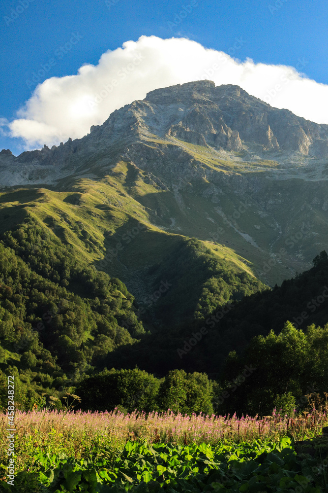 Fototapeta premium landscape with clouds
