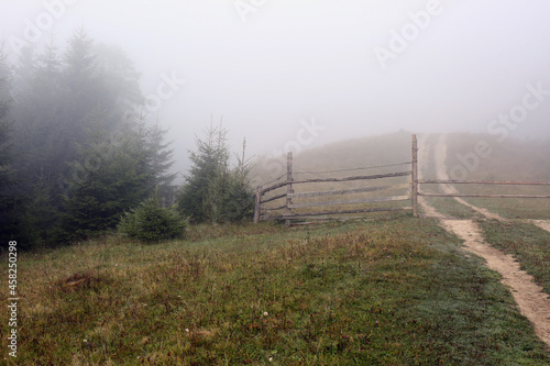 Wooden fence near forest covered with fog
