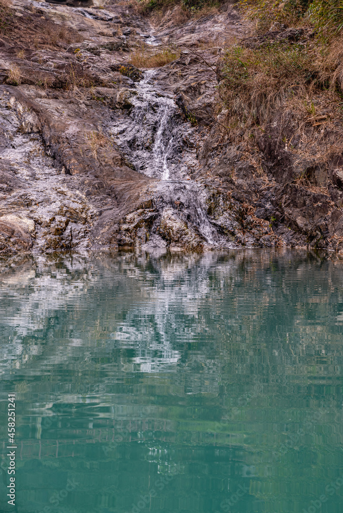 Reflection of clear water and underwater creatures