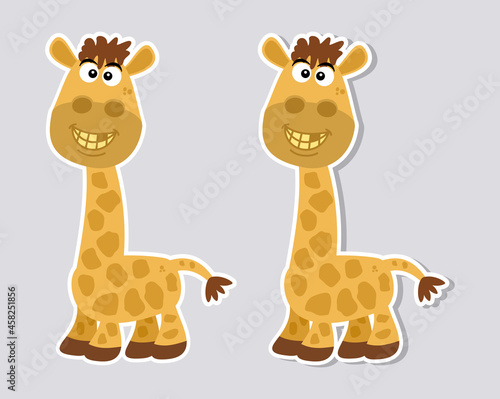 Small young giraffe with yellow teeth and brown hair with a lot of humor for sticker on gray background 