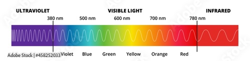 Vector diagram with the visible light spectrum. Visible light, infrared, and ultraviolet. Electromagnetic spectrum visible to the human eye. Violet, Blue green, yellow, orange, red color gradient.