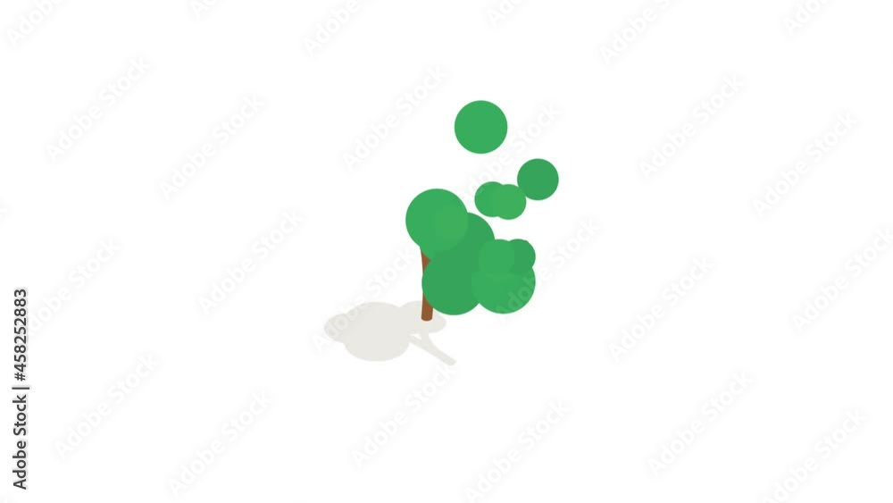 Tree icon animation isometric best object on white backgound Tree icon animation isometric best object on white backgound