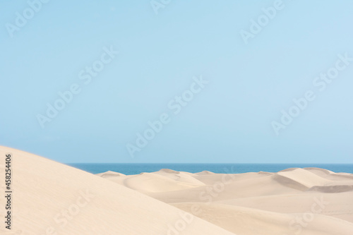 Yellow dunes in the beach