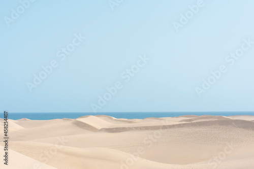 Yellow dunes in the beach