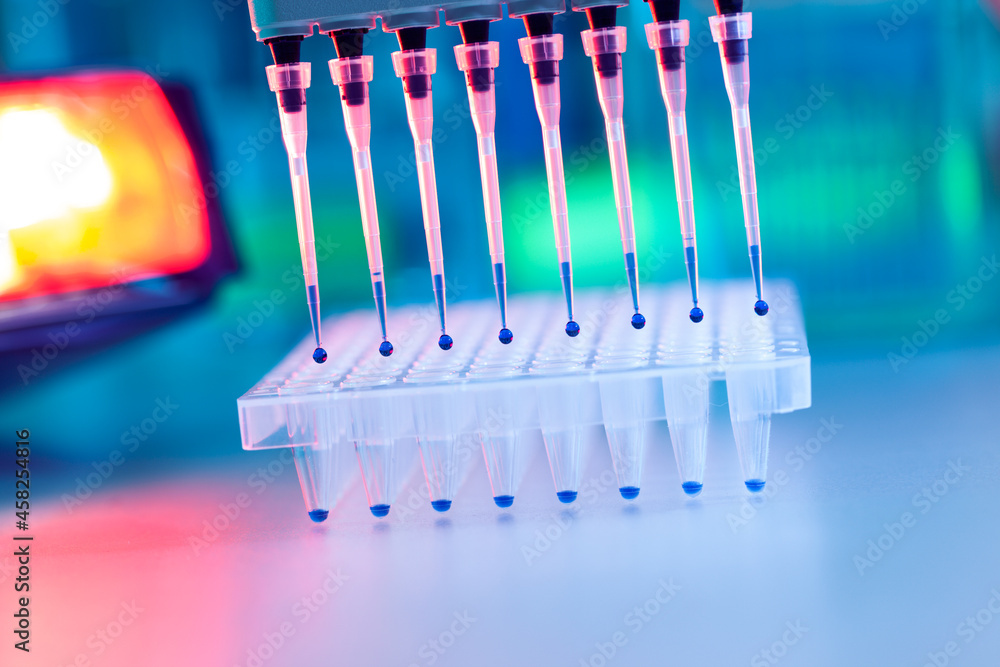 Pipette and test tubes in a microbiological laboratory Pipette and test tubes in a microbiological laboratory