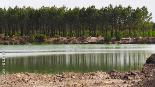 Lac de carrière, entouré de rangées de jeunes pins landais photo